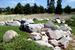  Johnson Prairie Outlook in Linnaeus Arboretum