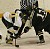 Lynn Hillen and Meghan Stumpf fight to win the face-off.