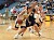 Kenzie Consoer handles the ball for the Gusties